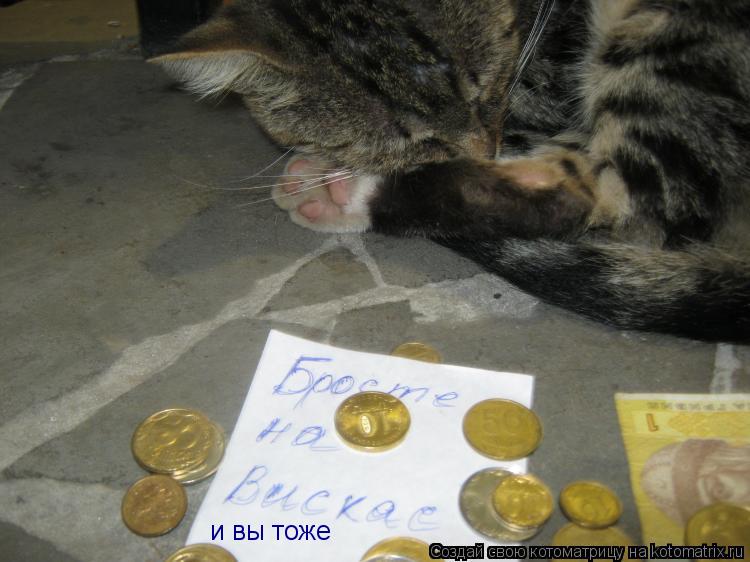 и вы тоже... Котоматрица: и вы тоже