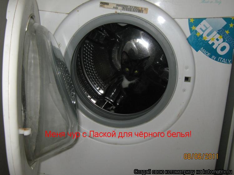 Котоматрица: Меня чур с Лаской для чёрного белья!