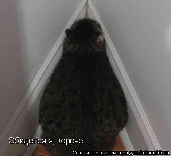 Котоматрица: Обиделся я, короче...