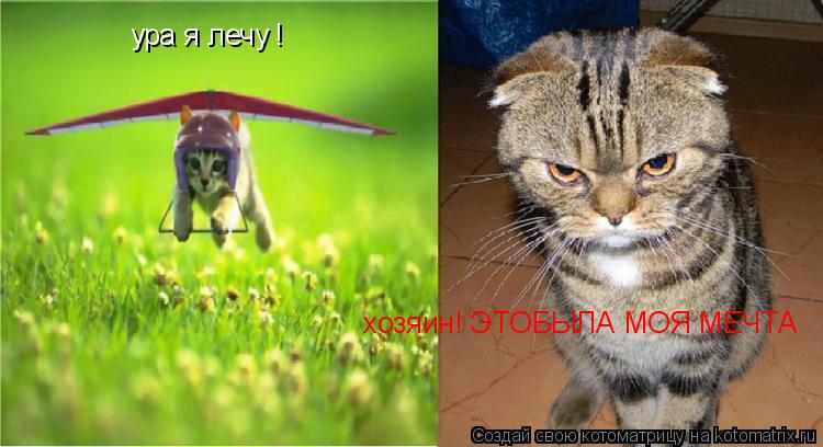 Котоматрица: ура я лечу ! хозяин! ЭТОБЫЛА МОЯ МЕЧТА