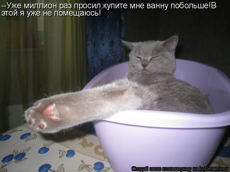 Котоматрица: --Уже миллион раз просил:купите мне ванну побольше!В этой я уже не помещаюсь!