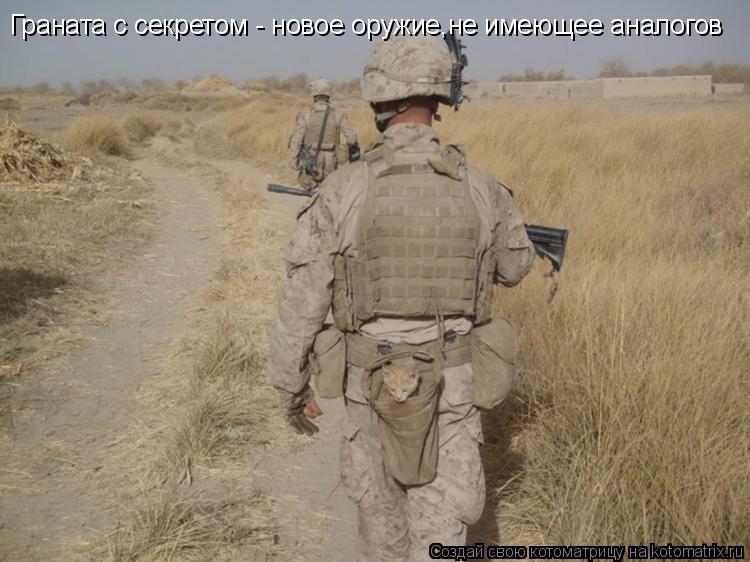 Граната с секретом - новое оружие,не имеющее аналогов... Котоматрица: Граната с секретом - новое оружие,не имеющее аналогов