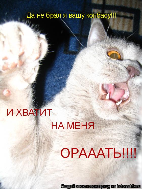 Котоматрица: Да не брал я вашу колбасу!!! И ХВАТИТ  НА МЕНЯ ОРАААТЬ!!!!