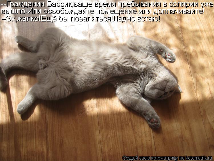 Котоматрица: --Гражданин Барсик,ваше время пребывания в солярии уже вышло!Или освобождайте помещение,или доплачивайте! --Эх,жалко!Ещё бы поваляться!Ладн