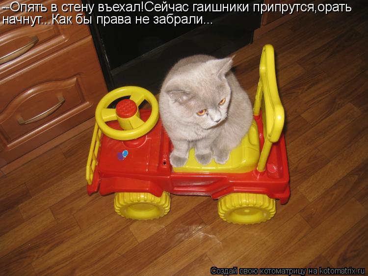 Котоматрица: --Опять в стену въехал!Сейчас гаишники припрутся,орать начнут...Как бы права не забрали...