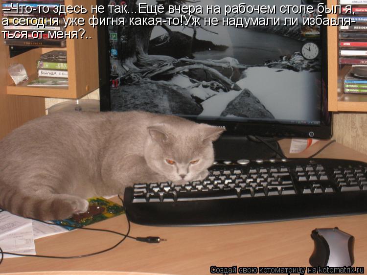 --Что-то здесь не так...Ещё вчера на рабочем столе был я, а сегодня уже фигня какая-то!Уж не надумали... Котоматрица: --Что-то здесь не так...Ещё вчера на рабочем столе был я, а сегодня уже фигня какая-то!Уж не надумали ли избавля- ться от меня?..