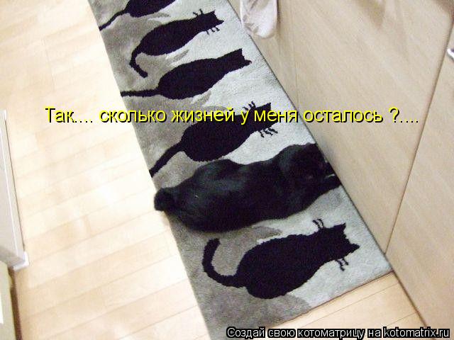 Так.... сколько жизней у меня осталось ?....... Котоматрица: Так.... сколько жизней у меня осталось ?....