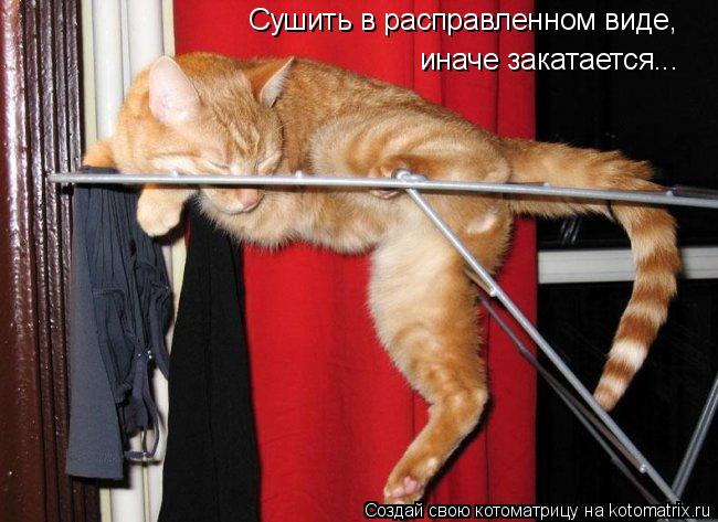 Котоматрица: Сушить в расправленном виде, иначе закатается...