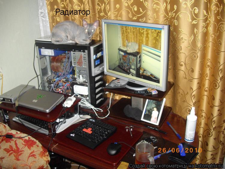 Радиатор... Котоматрица: Радиатор