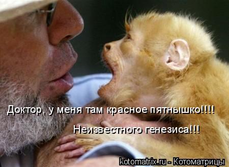 Доктор, у меня там красное пятнышко!!!! Неизвестного генезиса!!!... Котоматрица: Доктор, у меня там красное пятнышко!!!! Неизвестного генезиса!!!