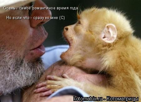 Осень - самое романтиное время года. Но если что - сразу ко мне (С)... Котоматрица: Осень - самое романтиное время года. Но если что - сразу ко мне (С)