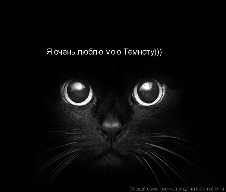 Я очень люблю мою Темноту)))... Котоматрица: Я очень люблю мою Темноту)))