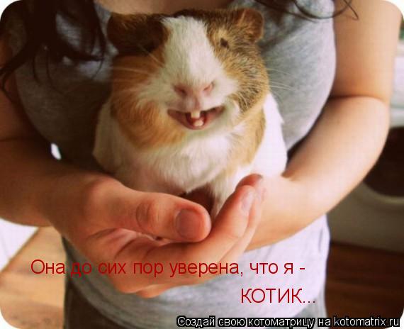Котоматрица: Она до сих пор уверена, что я -  КОТИК...