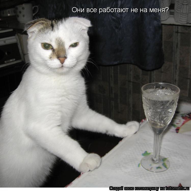 Они все работают не на меня?... Котоматрица: Они все работают не на меня?