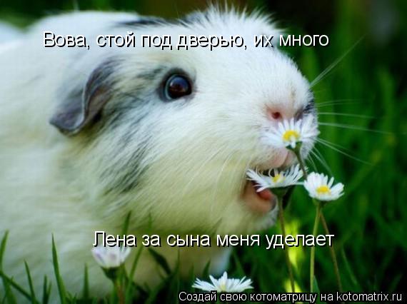 Вова, стой под дверью, их много Лена за сына меня уделает... Котоматрица: Вова, стой под дверью, их много Лена за сына меня уделает