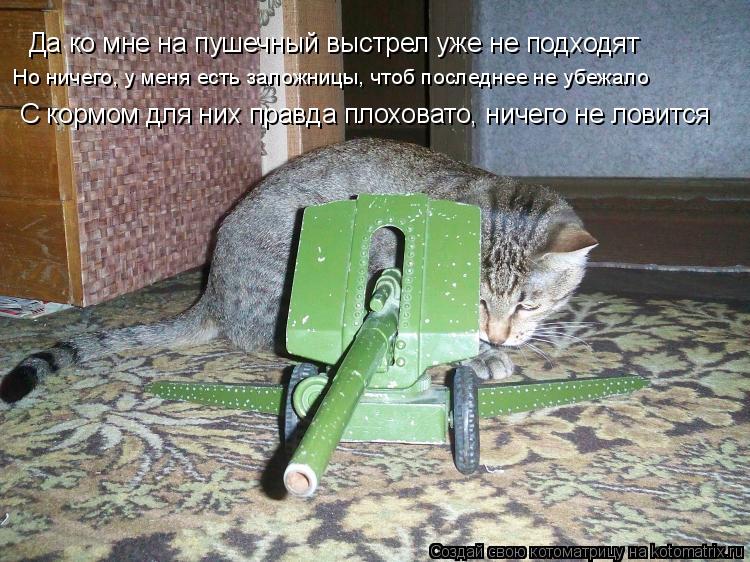 Котоматрица: Да ко мне на пушечный выстрел уже не подходят С кормом для них правда плоховато, ничего не ловится Но ничего, у меня есть заложницы, чтоб пос