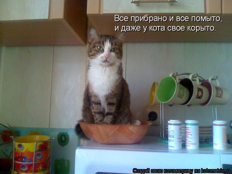 Котоматрица: Все прибрано и все помыто, и даже у кота свое корыто.