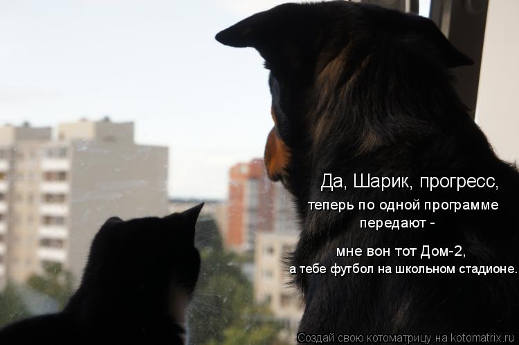 Котоматрица: Да, Шарик, прогресс, теперь по одной программе  передают -  мне вон тот Дом-2,  а тебе футбол на школьном стадионе.