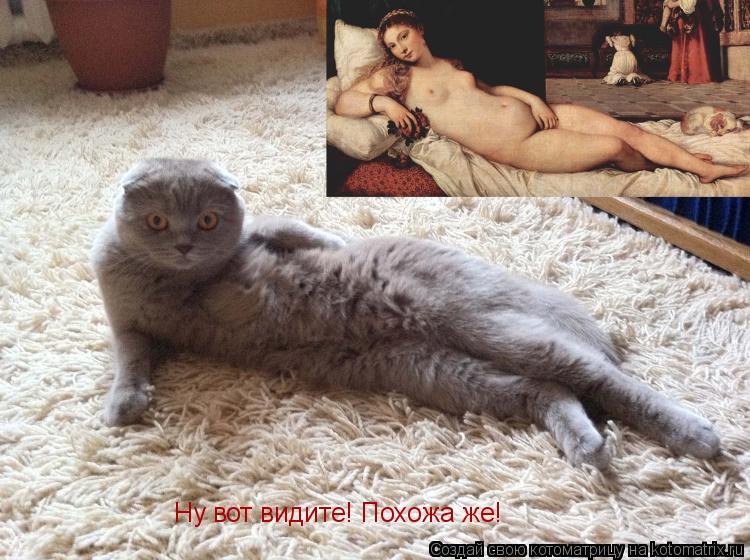 Ну вот видите! Похожа же!... Котоматрица: Ну вот видите! Похожа же!