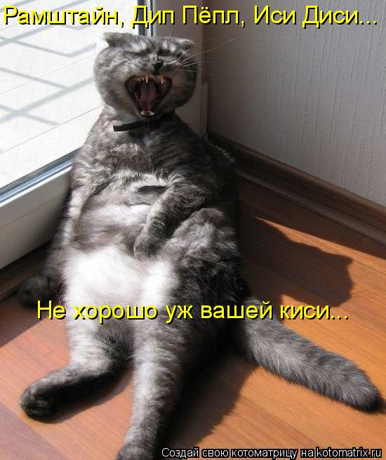 Котоматрица: Рамштайн, Дип Пёпл, Иси Диси... Не хорошо уж вашей киси...