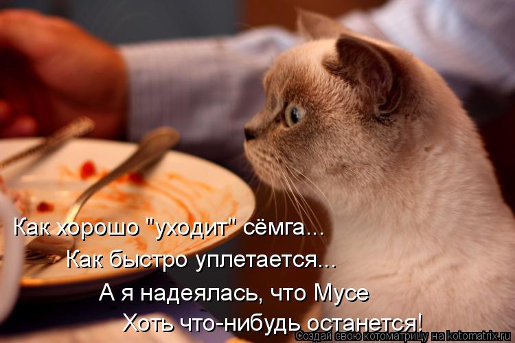 Котоматрица: Как хорошо "уходит" сёмга... Как быстро уплетается... А я надеялась, что Мусе  Хоть что-нибудь останется!