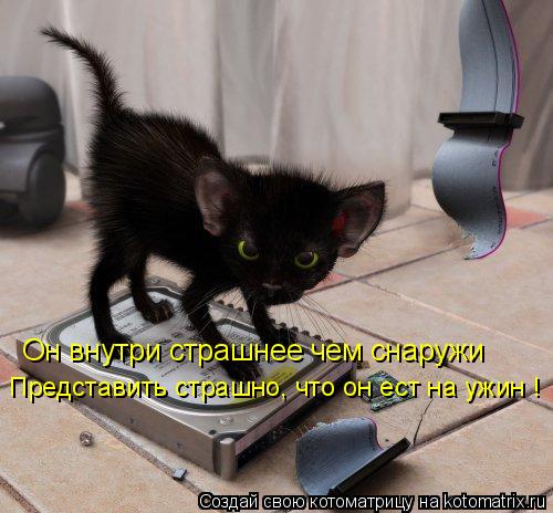 Котоматрица: Он внутри страшнее чем снаружи Представить страшно, что он ест на ужин !