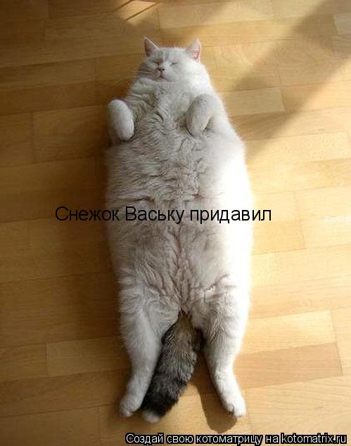 Снежок Ваську придавил... Котоматрица: Снежок Ваську придавил