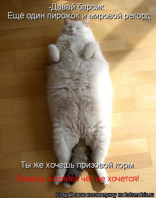-Давай барсик Ещё один пирожок и мировой рекорд Ты же хочешь призовой корм -Знаешь хозяйка чёт не хоч... Котоматрица: -Давай барсик Ещё один пирожок и мировой рекорд Ты же хочешь призовой корм -Знаешь хозяйка чёт не хочется!