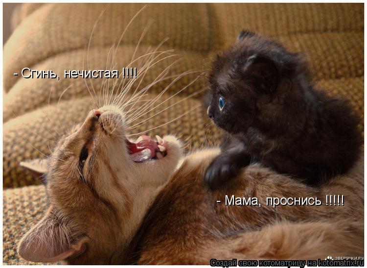 - Сгинь, нечистая !!!! - Мама, проснись !!!!!... Котоматрица: - Сгинь, нечистая !!!! - Мама, проснись !!!!!