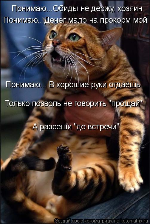 Понимаю...Денег мало на прокорм мой Понимаю... В хорошие руки отдаёшь Понимаю...Обиды не держу, хозяи... Котоматрица: Понимаю...Денег мало на прокорм мой Понимаю... В хорошие руки отдаёшь Понимаю...Обиды не держу, хозяин Только позволь не говорить "прощай" А ра