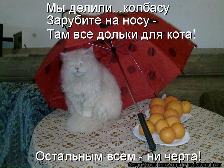Зарубите на носу - Остальным всем - ни черта! Мы делили...колбасу Там все дольки для кота!... Котоматрица: Зарубите на носу - Остальным всем - ни черта! Мы делили...колбасу Там все дольки для кота!