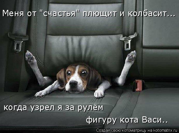 Котоматрица: Меня от "счастья" плющит и колбасит... когда узрел я за рулём фигуру кота Васи..