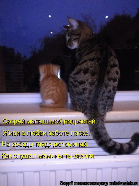 Скорей,малыш мой,подрастай, На звёзды глядя,вспоминай, Как слушал мамины ты сказки. Живи в любви,забо... Котоматрица: Скорей,малыш мой,подрастай, На звёзды глядя,вспоминай, Как слушал мамины ты сказки. Живи в любви,заботе,ласке.