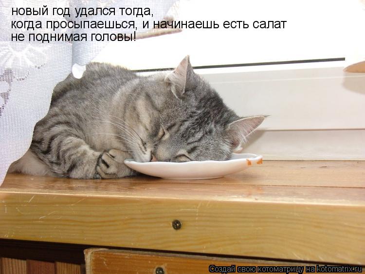 новый год удался тогда, когда просыпаешься, и начинаешь есть салат не поднимая головы!... Котоматрица: новый год удался тогда, когда просыпаешься, и начинаешь есть салат не поднимая головы!