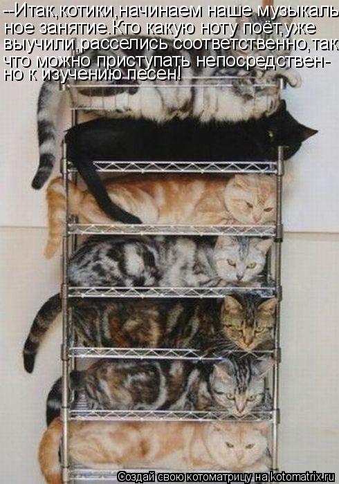 --Итак,котики,начинаем наше музыкаль- ное занятие.Кто какую ноту поёт,уже выучили,расселись соответст... Котоматрица: --Итак,котики,начинаем наше музыкаль- ное занятие.Кто какую ноту поёт,уже выучили,расселись соответственно,так что можно приступать непоср