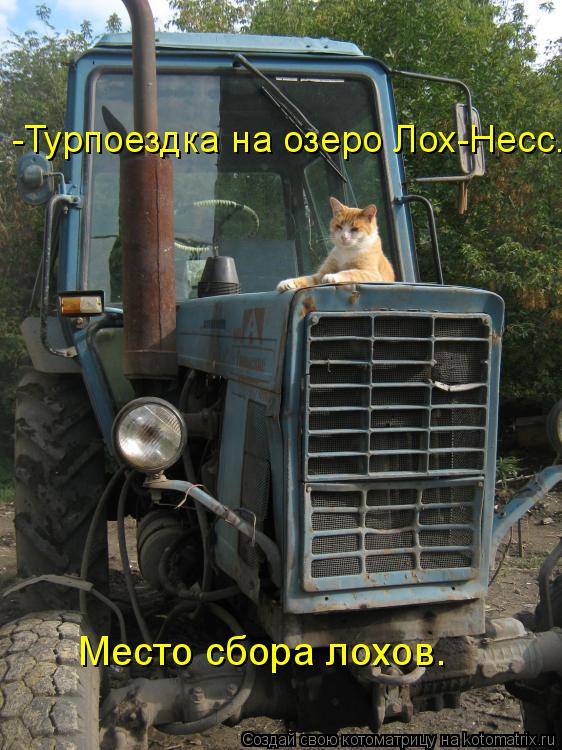 -Турпоездка на озеро Лох-Несс. Место сбора лохов.... Котоматрица: -Турпоездка на озеро Лох-Несс. Место сбора лохов.