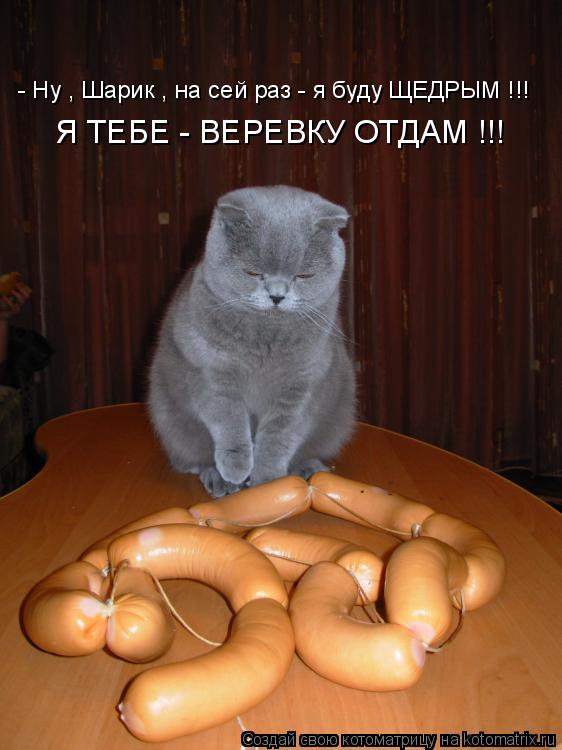 Котоматрица: - Ну , Шарик , на сей раз - я буду ЩЕДРЫМ !!! Я ТЕБЕ - ВЕРЕВКУ ОТДАМ !!!
