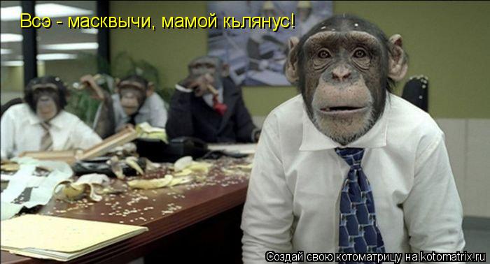 Всэ - масквычи, мамой кьлянус!... Котоматрица: Всэ - масквычи, мамой кьлянус!