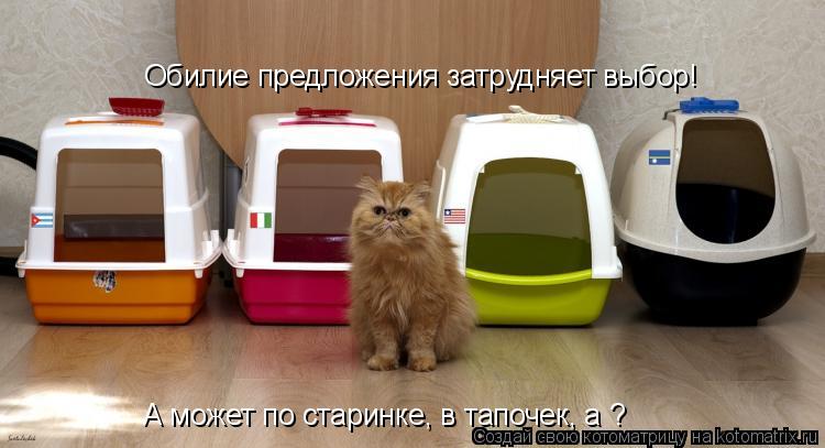 Котоматрица: Обилие предложения затрудняет выбор! А может по старинке, в тапочек, а ?
