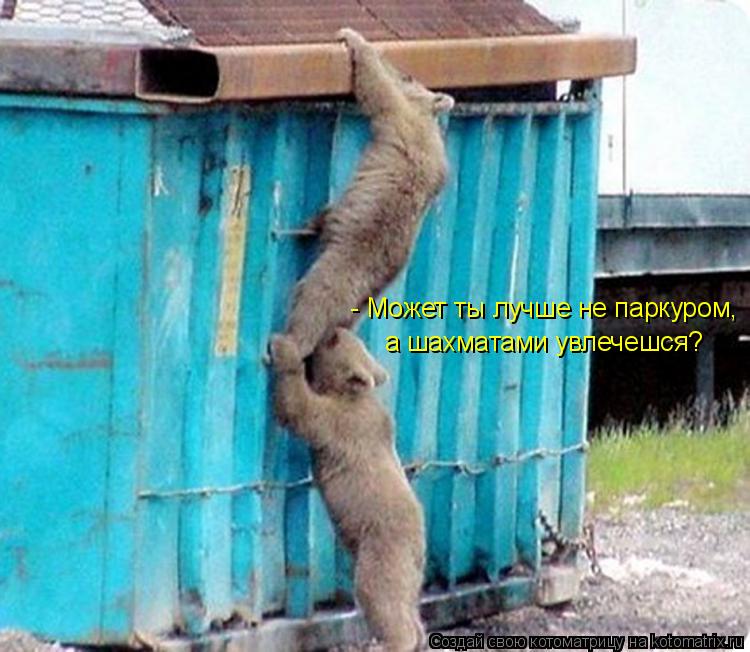- Может ты лучше не паркуром, а шахматами увлечешся?... Котоматрица: - Может ты лучше не паркуром, а шахматами увлечешся?