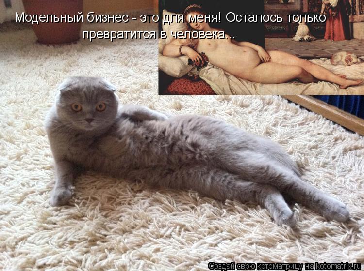 Модельный бизнес - это для меня! Осталось только превратится в человека...... Котоматрица: Модельный бизнес - это для меня! Осталось только превратится в человека...