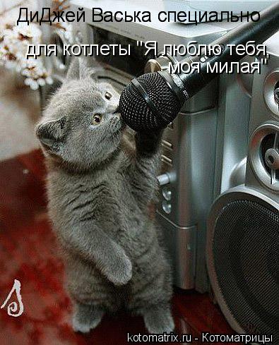 Котоматрица: ДиДжей Васька специально для котлеты "Я люблю тебя, ДиДжей Васька специально моя милая"