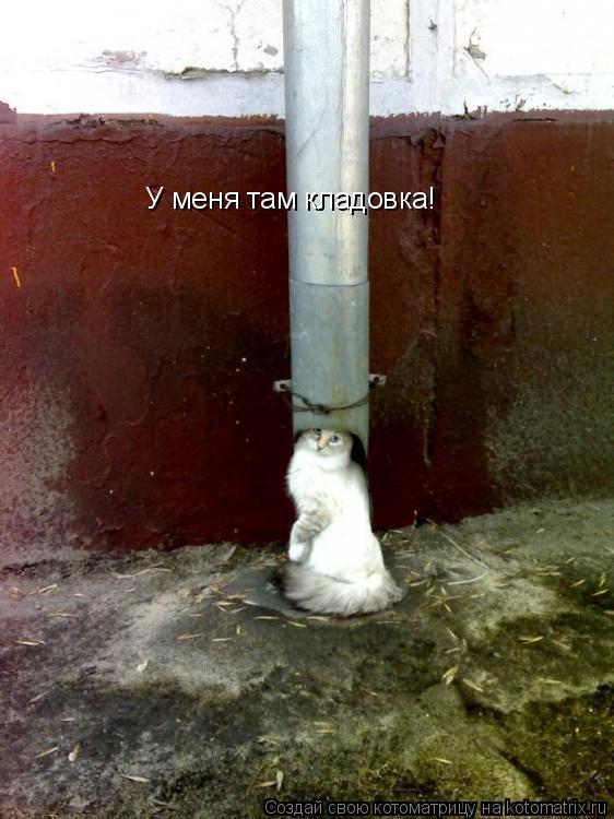 У меня там кладовка!... Котоматрица: У меня там кладовка!