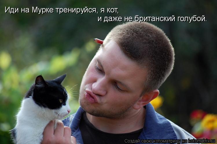 Иди на Мурке тренируйся, я кот, и даже не британский голубой.... Котоматрица: Иди на Мурке тренируйся, я кот, и даже не британский голубой.