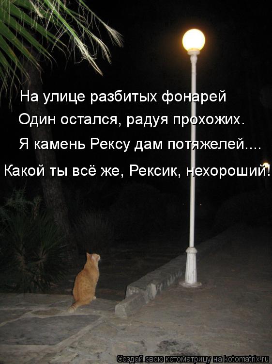 На улице разбитых фонарей Один остался, радуя прохожих. Я камень Рексу дам потяжелей.... Какой ты всё... Котоматрица: На улице разбитых фонарей Один остался, радуя прохожих. Я камень Рексу дам потяжелей.... Какой ты всё же, Рексик, нехороший!