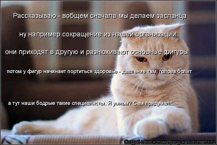 Котоматрица: Рассказываю - вобщем сначала мы делаем засланца ну например сокращение из нашей организации они приходят в другую и разнюхивают основные ф