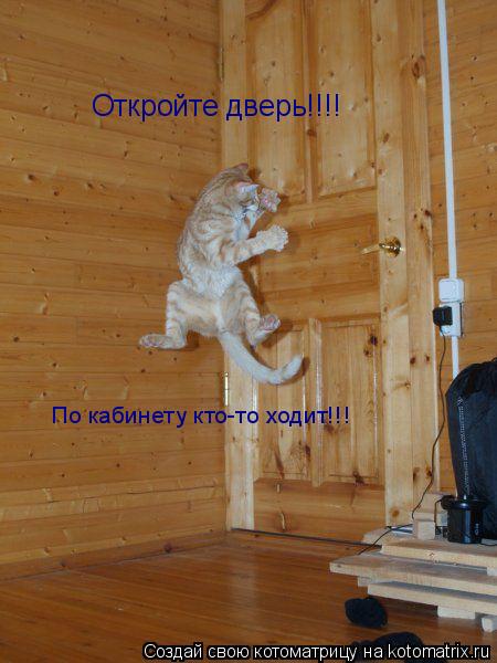 Котоматрица: Откройте дверь!!!! По кабинету кто-то ходит!!!