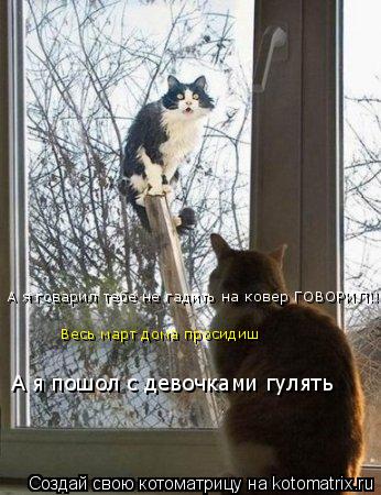 Котоматрица: А я говарил тебе не гадить на ковер ГОВОРИЛ!!!! Весь март дома просидиш А я пошол с девочками гулять