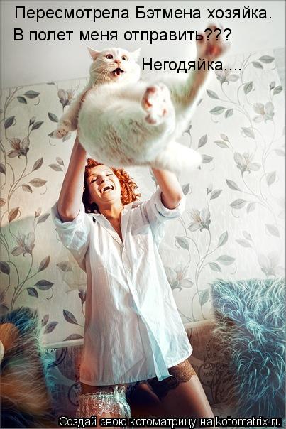 Котоматрица: Пересмотрела Бэтмена хозяйка. В полет меня отправить??? Негодяйка....