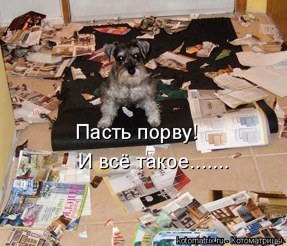 Котоматрица: Пасть порву! И всё такое.......